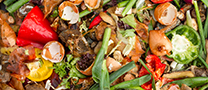 Food 208x90