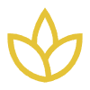 spa wellbeing yellow