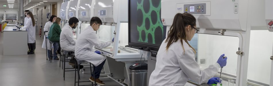 Study at the School of Biosciences