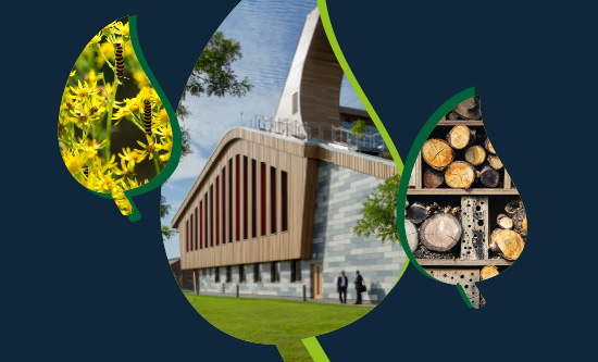 Three econ images with the wording: Combine your studies with sustainability