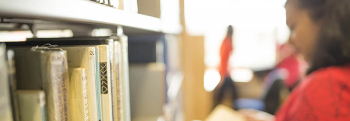 Student browsing shelves